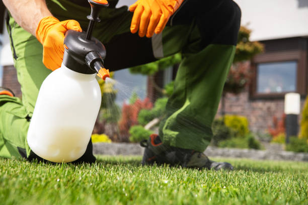 Best Termite Control Services  in Allegan, MI