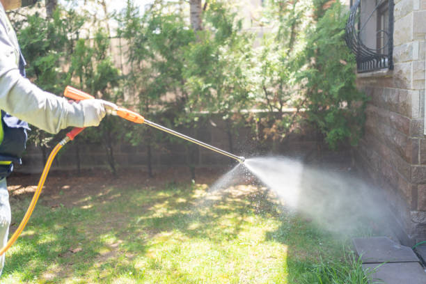 Insect Control in Allegan, MI